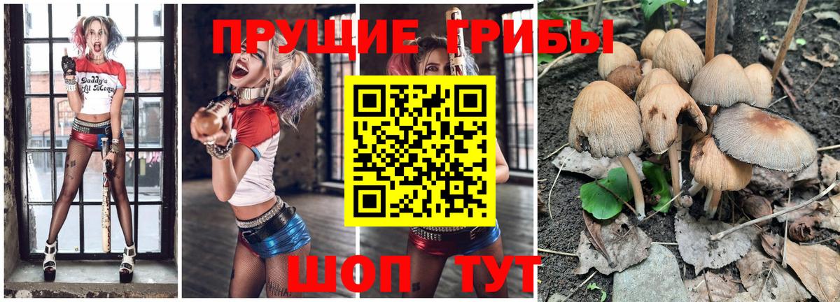 Галлюциногенные грибы Cubensis  Псилоцибиновые грибы мухоморы  Волжск  Вход с VPN 